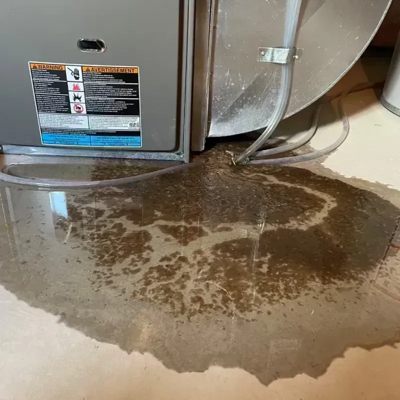 Appliance Leak Cleanup in Virden, IL